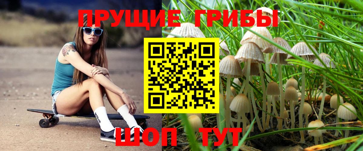 Псилоцибиновые грибы GOLDEN TEACHER Кулебаки