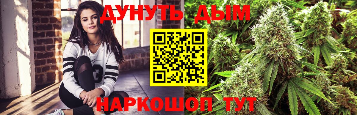 Бошки Шишки семена  Марихуана THC 21%  Кулебаки  МАРИХУАНА гибрид  Вход с VPN  Марихуана конопля 
